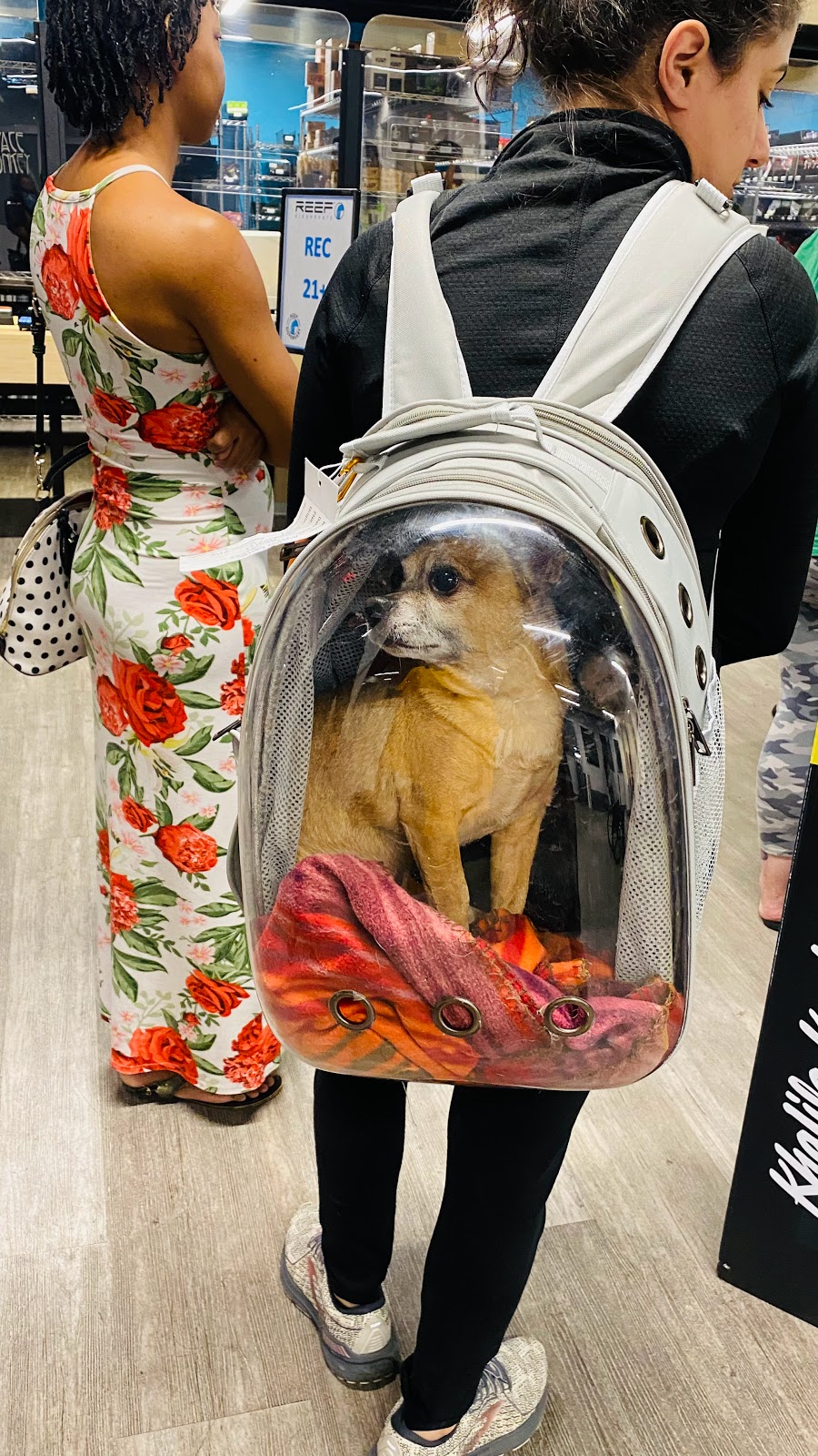 Reef Dispensary - Northwest Phoenix | 5558 W Bell Rd, Glendale, AZ 85308, USA | Phone: (602) 535-0999