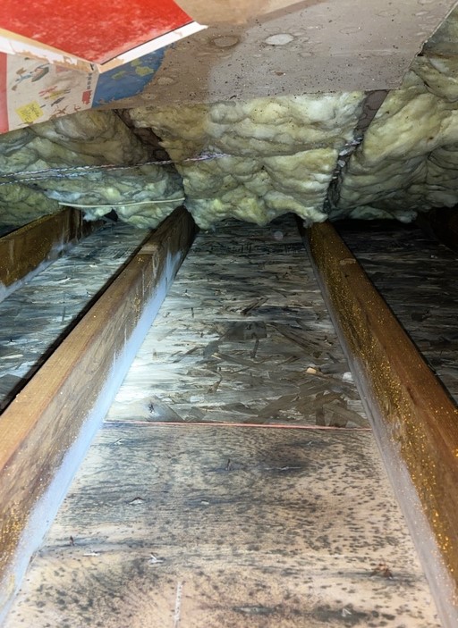 Harugami Water restoration | 206 W Avenue D, Garland, TX 75040, USA | Phone: (945) 202-9571