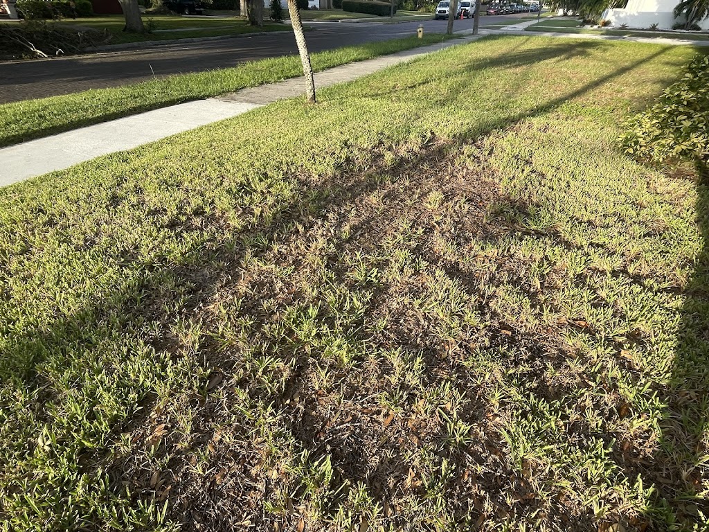 Executive Turf Management Inc | 6553 46th St N #900, Pinellas Park, FL 33781, USA | Phone: (727) 528-4646