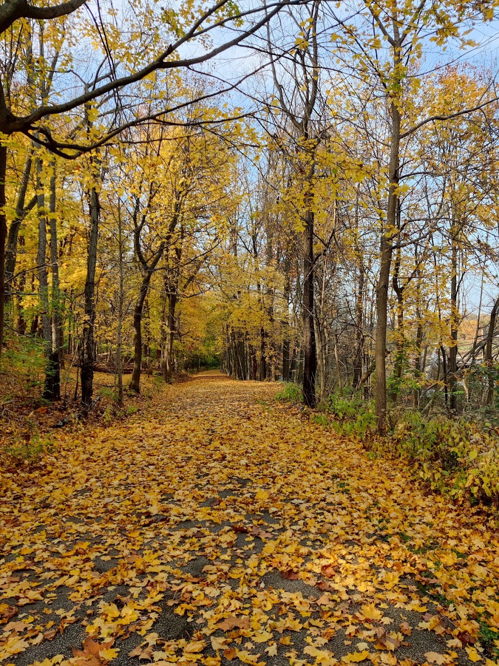 Garfield park Red oak shelter | 4770 Henry St, Garfield Heights, OH 44125, USA | Phone: (216) 635-3200