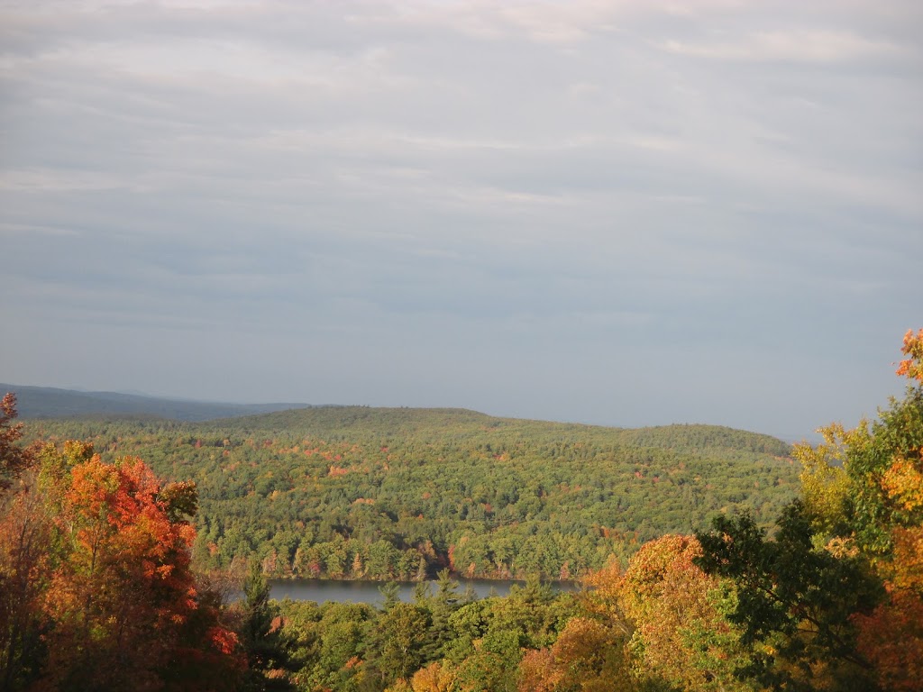 Bousquet Mountain Ski Area | 101 Dan Fox Dr, Pittsfield, MA 01201, USA | Phone: (413) 442-8985