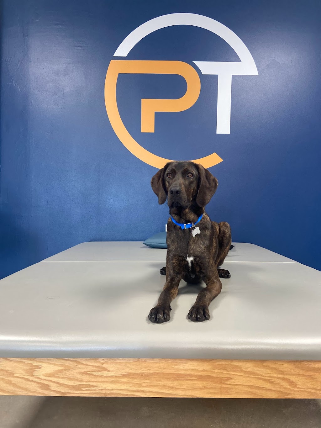 Comprehensive Physical Therapy | 5404 LA-22 STE 200, Mandeville, LA 70471, USA | Phone: (985) 272-1017