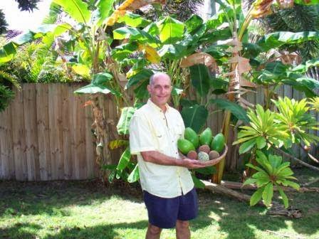 Als Fruit Trees LLC | 14000 SW 182 Ave, Miami, FL 33196, USA | Phone: (786) 351-1521