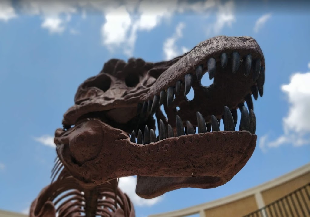 Dinosaur Science Museum and Research Center | 113 W Magnolia St, Keene, TX 76059, USA | Phone: (817) 202-6336