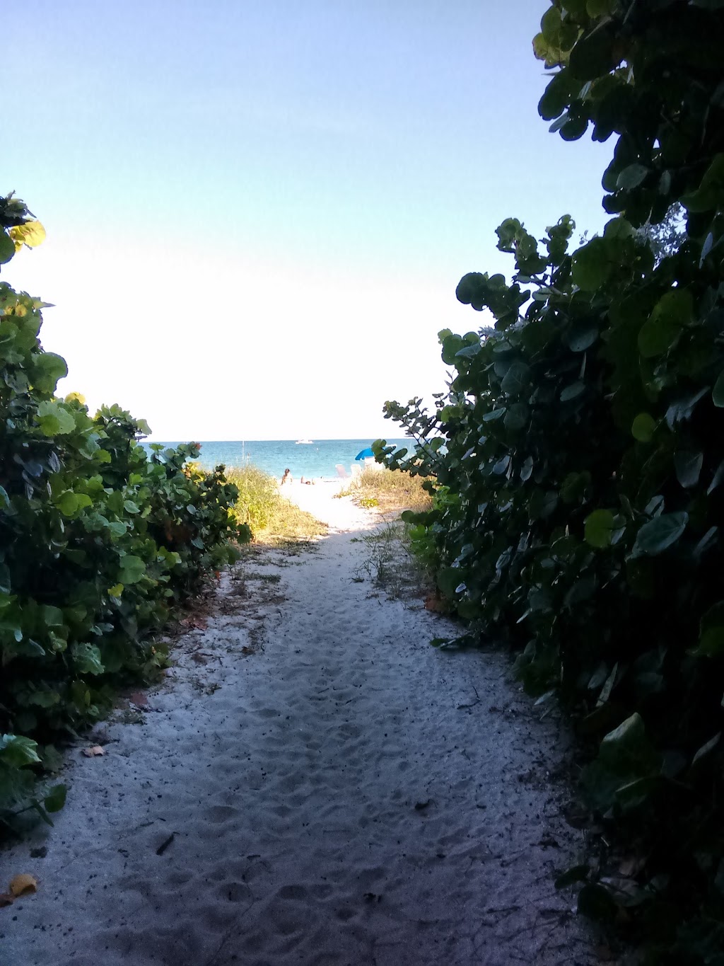 Beach View Park & Vita Course | 53rd Street &, Collins Ave, Miami Beach, FL 33141, USA | Phone: (305) 868-7727