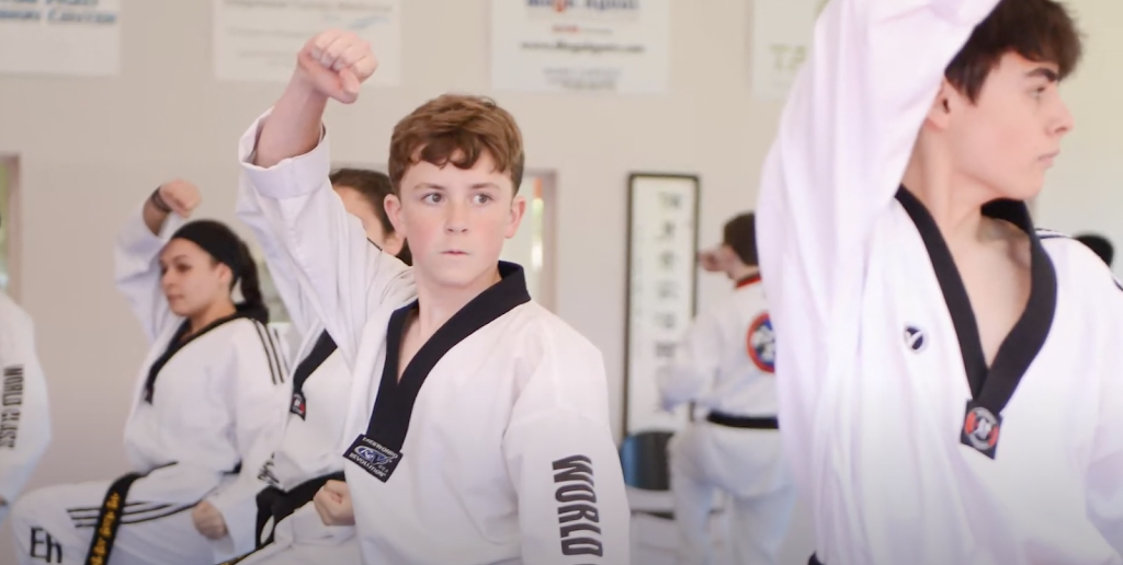 Master Scarsella’s World Class Tae Kwon Do | 3417 Old Columbiana Rd, Hoover, AL 35226, USA | Phone: (205) 438-6244