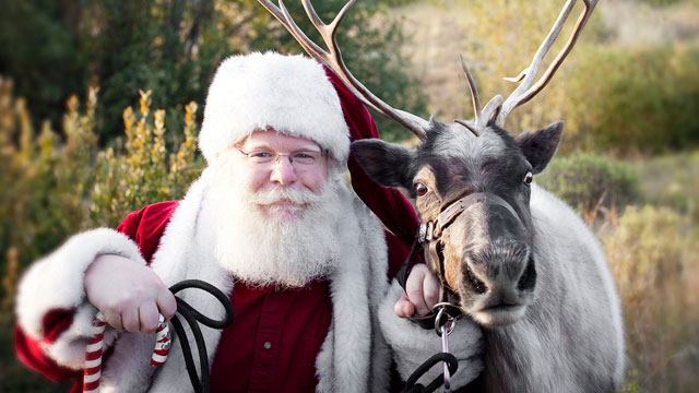 Rudolphs Reindeer Rental | 18205 TX-242, Conroe, TX 77302, USA | Phone: (832) 512-7284