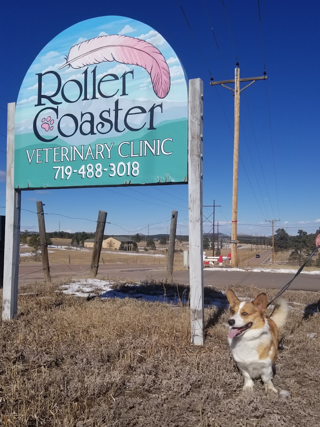 Roller Coaster Veterinary Clinic | 16755 Roller Coaster Rd, Colorado Springs, CO 80921, USA | Phone: (719) 488-3018