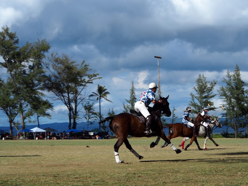 Hawaii Polo Club | 68-411 Farrington Hwy, Waialua, HI 96791 | Phone: (808) 220-5153