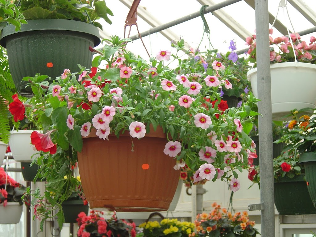 Dayton Flower & Garden Center | 4474 S Cleveland Massillon Rd, Norton, OH 44203, USA | Phone: (330) 825-4176