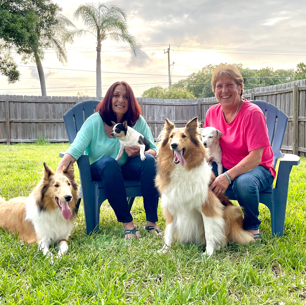 Pet Wants Bradenton | 5602 33rd Ln E, Bradenton, FL 34203, USA | Phone: (941) 920-9202