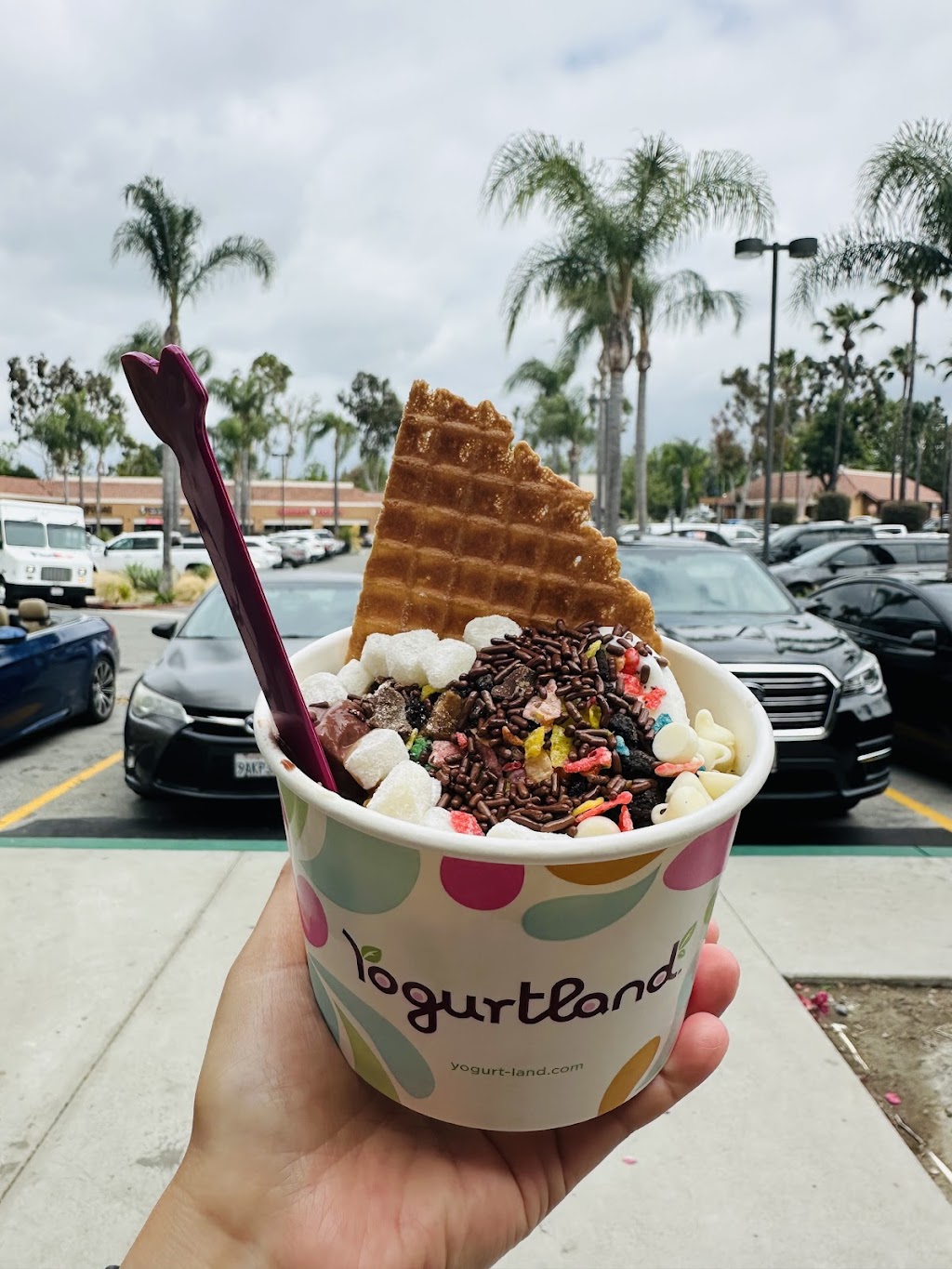 Yogurtland Anaheim | 5761 E Santa Ana Canyon Rd, Anaheim, CA 92807, USA | Phone: (714) 637-0600