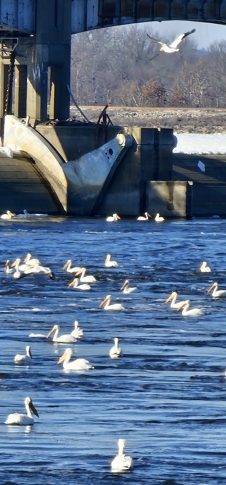 Clarksville Riverfront Park | Clarksville, MO 63336, USA | Phone: (573) 242-3336