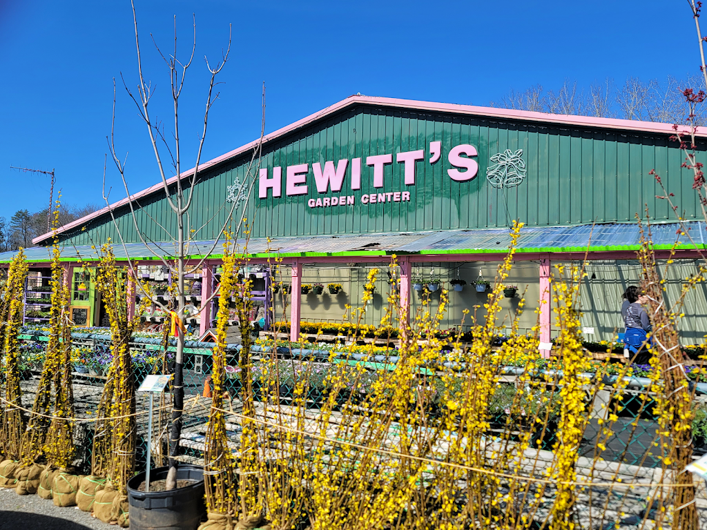 Hewitts | 1969 Western Ave, Albany, NY 12203, USA | Phone: (518) 456-7954