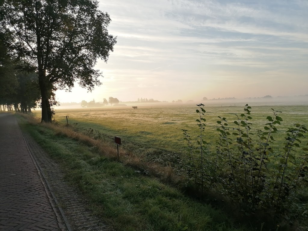 Cater-Beter | Bergweg 8, 8105 TZ Luttenberg, Netherlands | Phone: 06 41636900