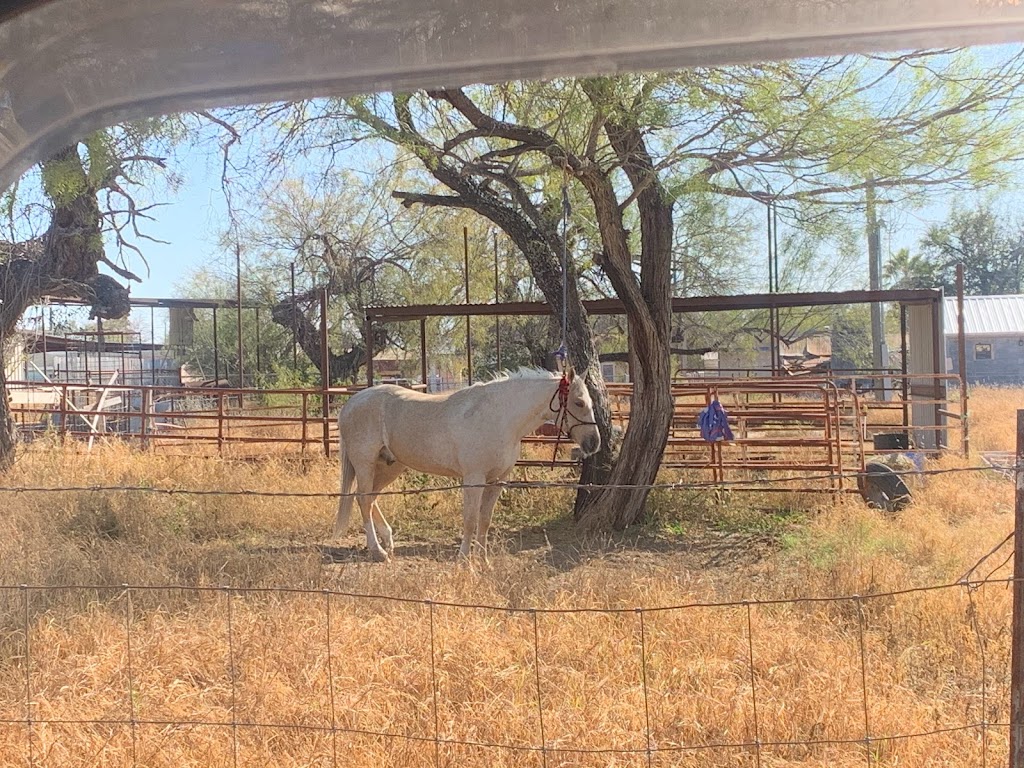 Zapata County Animal Shelter | Zapata, TX 78076, USA | Phone: (956) 765-6201