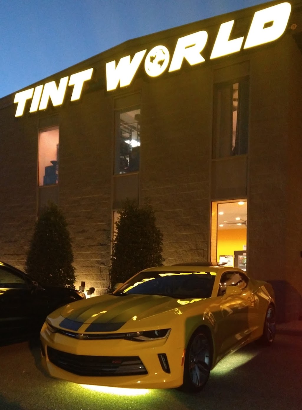 Tint World | 1240 River Hwy, Mooresville, NC 28117, USA | Phone: (980) 444-3144