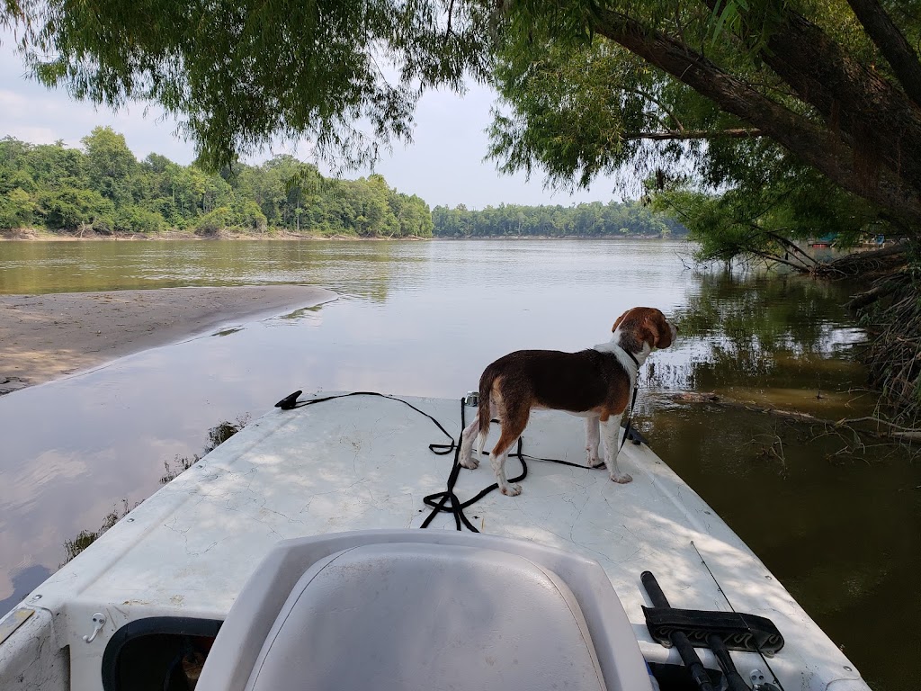 Bogue Chitto National Wildlife Refuge | Lock 1 Rd, Pearl River, LA 70452 | Phone: (985) 882-2000