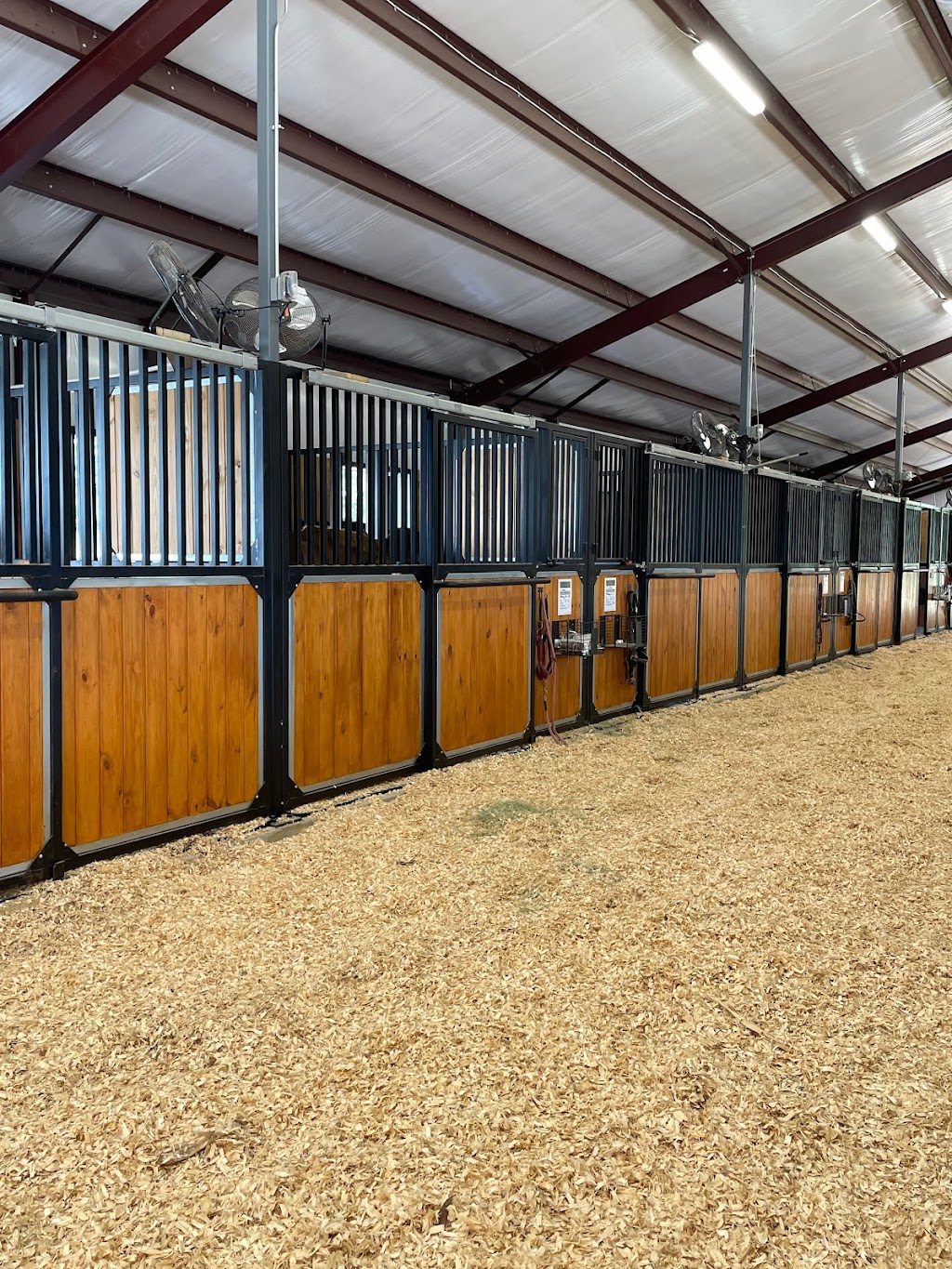 Sherwood Sporthorses Inc. | 20530 Forestview, Magnolia, TX 77355 | Phone: (281) 794-0879