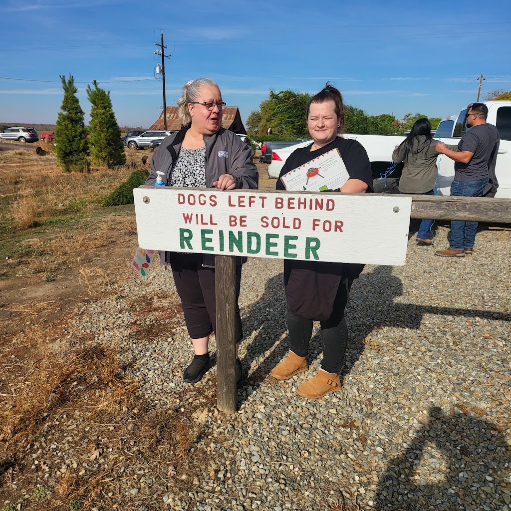 Pine Country The Martin Family | Gustine, CA 95322, USA | Phone: (209) 854-3636