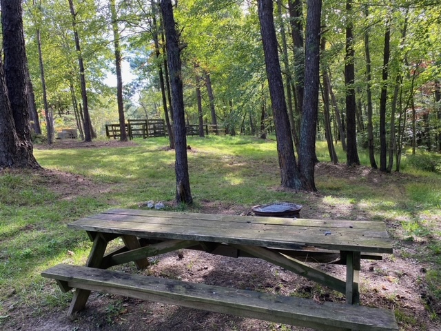 Palmerosa Horse & Hike Camp | 19207 Keifel Rd, Laurelville, OH 43135, USA | Phone: (740) 416-1066