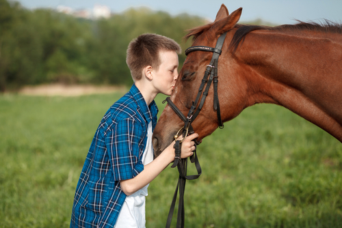 Healing Horse Therapy | 30608 NE Mc Bride Rd #1, Battle Ground, WA 98604, USA | Phone: (360) 798-2669