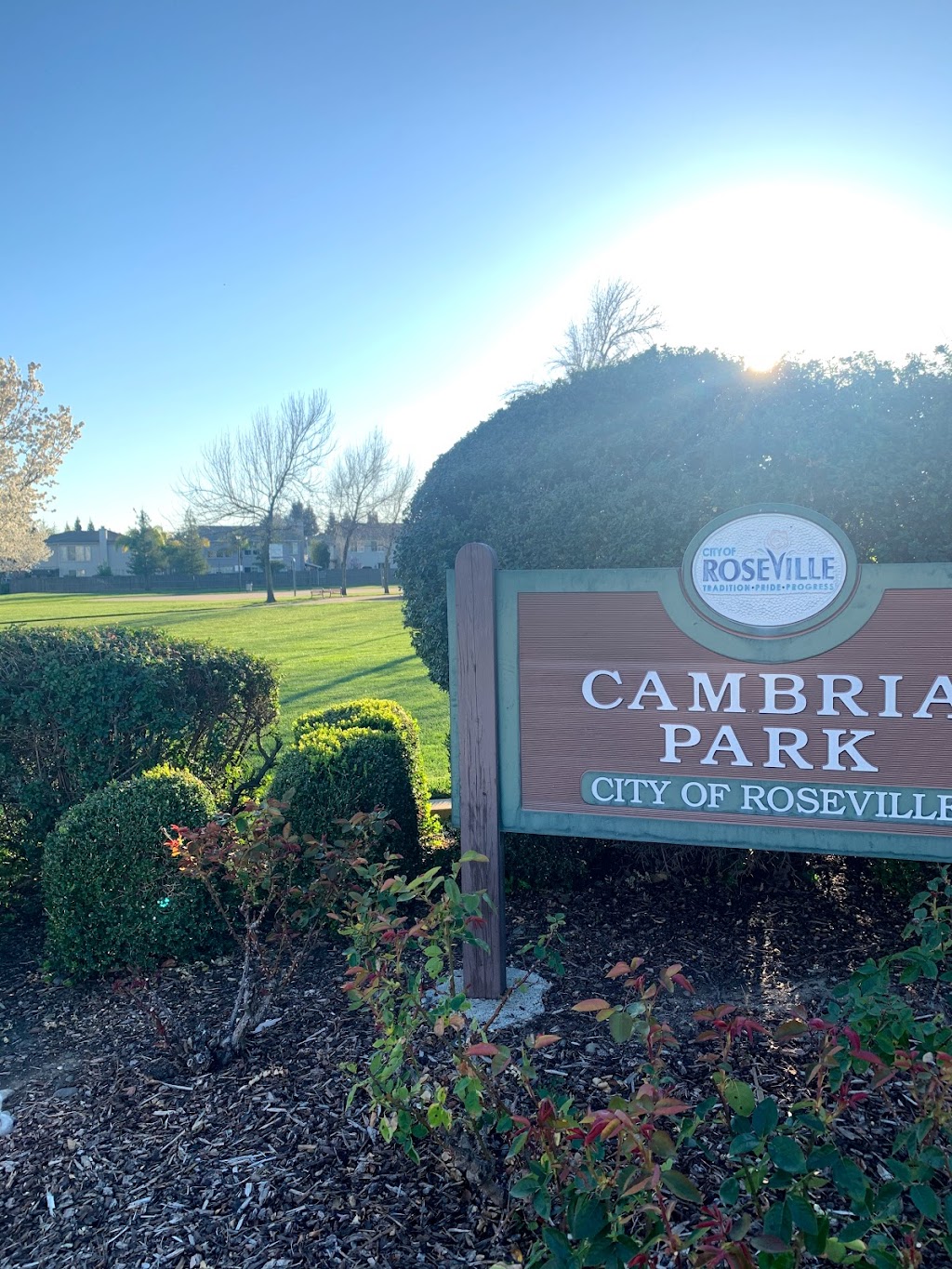 Cambria Park | 1781 Poppy Field Dr, Roseville, CA 95661, USA | Phone: (916) 772-7529