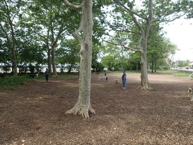 Manhattan Beach Dog Run | Park Ave, Brooklyn, NY 11235, USA | Phone: (212) 639-9675