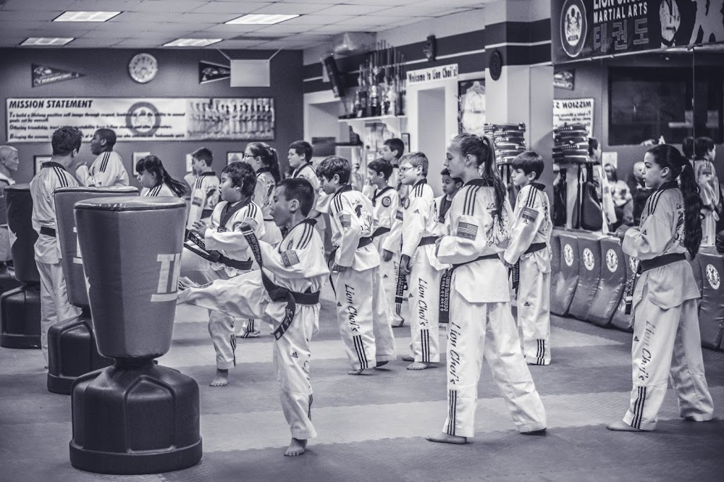 Lion Chois Taekwondo (Lessons/After-School Care/Summer Camp) | 2733 Annapolis Rd unit d, Hanover, MD 21076 | Phone: (410) 760-3636