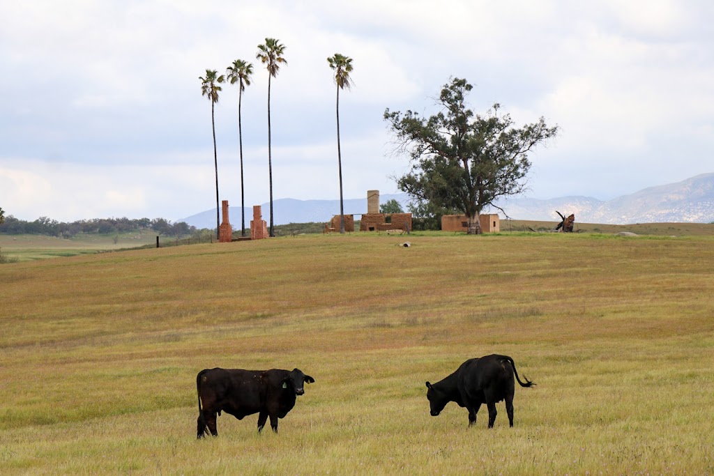 Rancho Guejito Beef | 17224 San Pasqual Valley Rd, Escondido, CA 92027, USA | Phone: (855) 483-5486