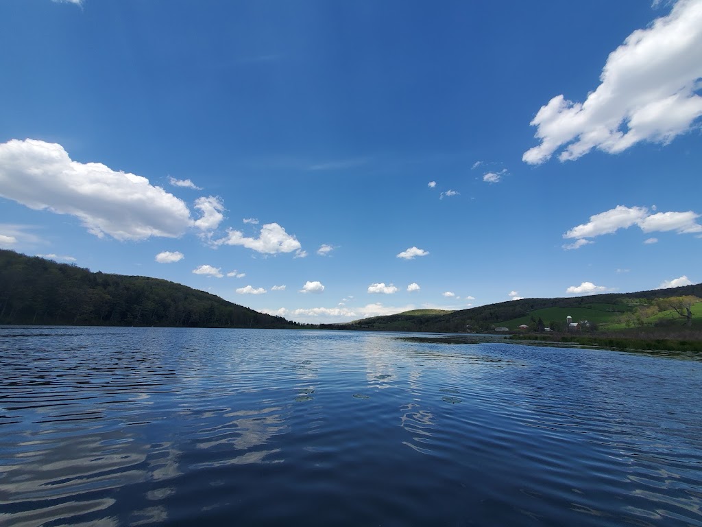 Franklinton Vlaie Wildlife Management Area | Middleburgh, NY 12122, USA | Phone: (607) 652-2302