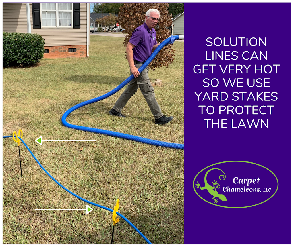 Carpet Chameleons LLC | 254 Village Creek Way, Salisbury, NC 28147, USA | Phone: (704) 929-9116