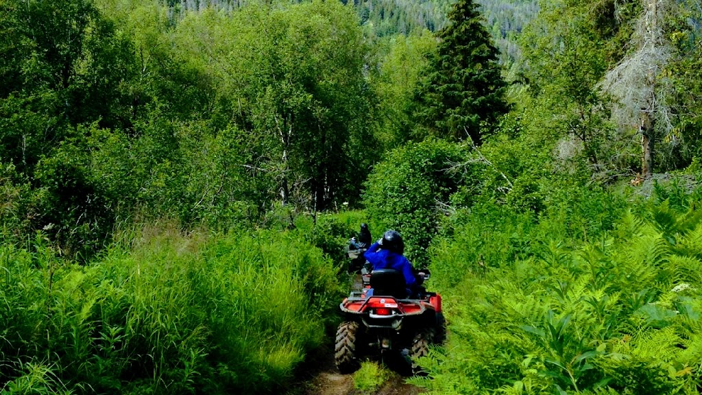 Alaska ATV Adventures | Konikson Rd, Anchorage, AK 99540, USA | Phone: (907) 320-0007