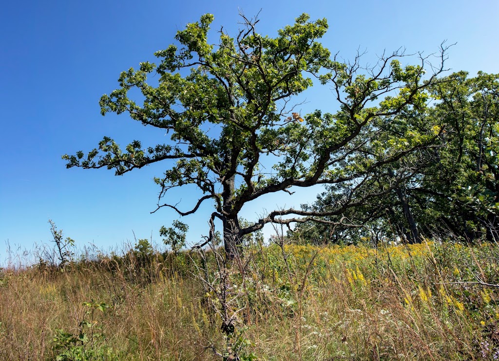 Empire Prairies Westport Drumlin State Natural Area | Waunakee, WI 53597, USA | Phone: (888) 936-7463