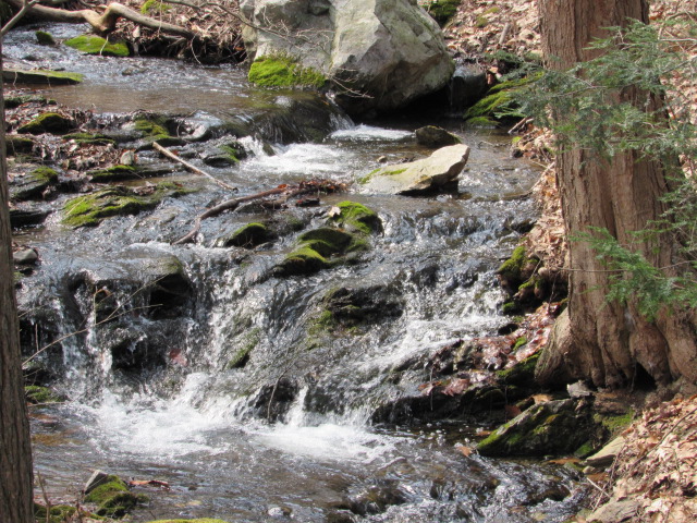 High Falls Conservation Area | 540 Roxbury Rd, Hudson, NY 12534, USA | Phone: (518) 392-5252