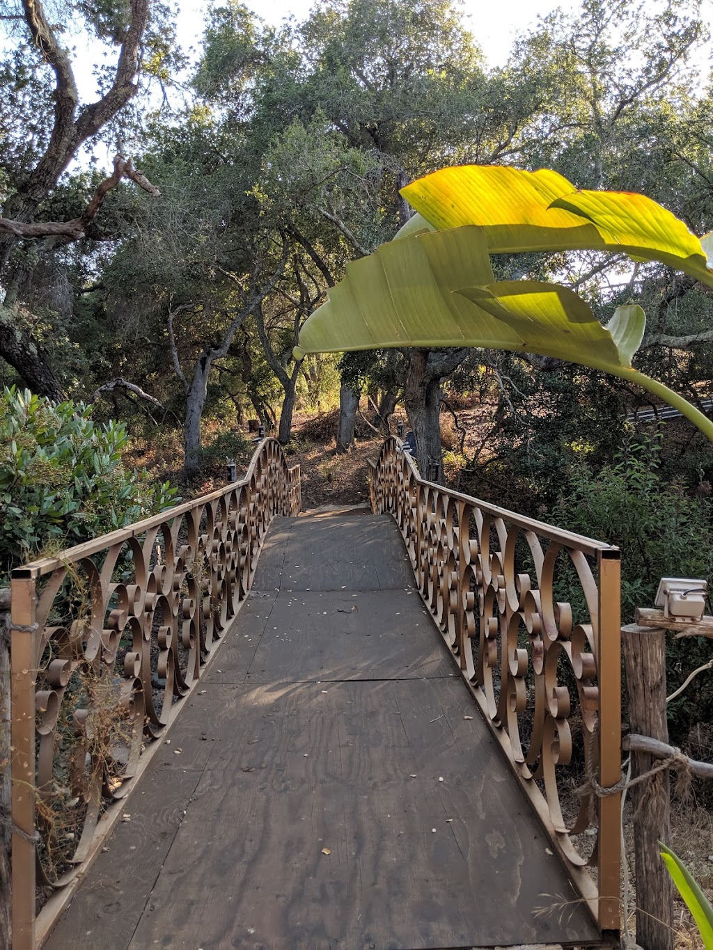 Hacienda El Capricho | C. El Camino Real 1, 22701 El Gato, B.C., Mexico | Phone: (619) 254-6730