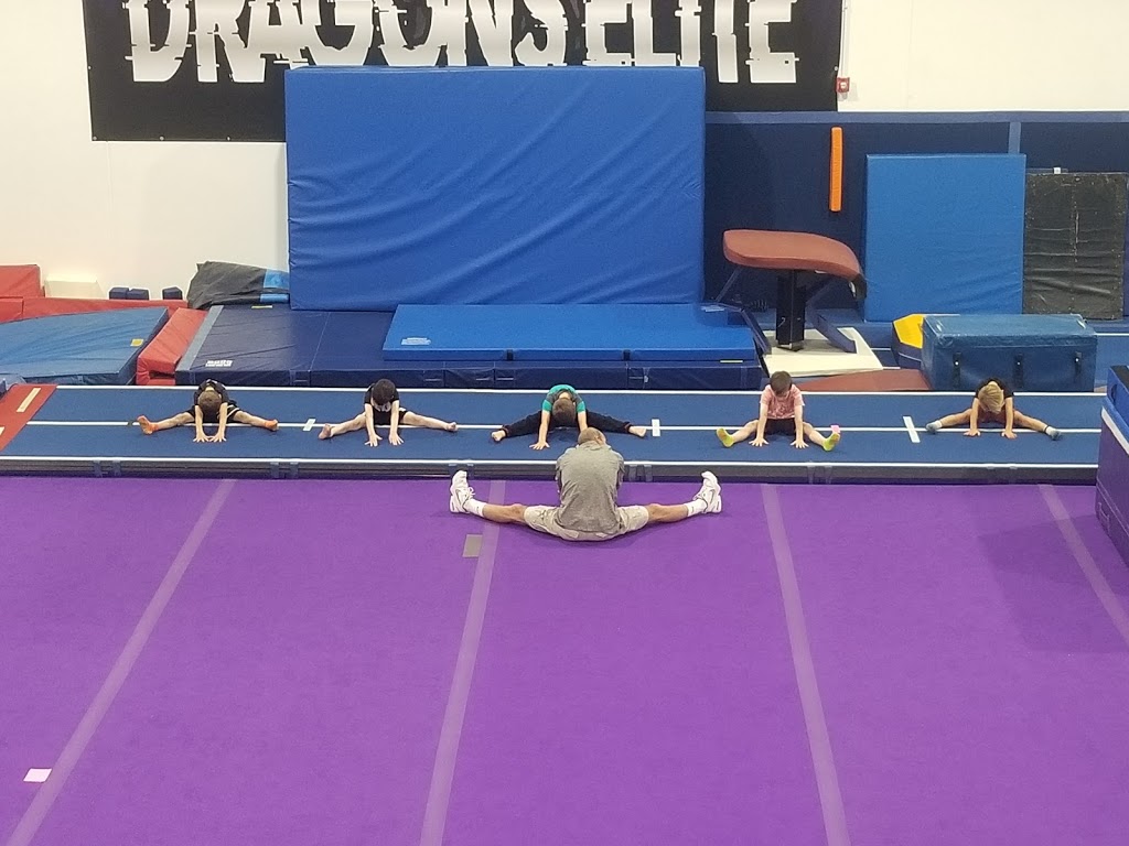 DeVeaus School of Gymnastics | 9032 Technology Dr, Fishers, IN 46038, USA | Phone: (317) 849-7744