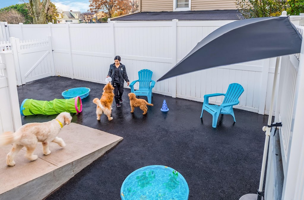 The Spot Costa Mesa | 1651 Placentia Ave, Costa Mesa, CA 92627, USA | Phone: (949) 891-4604