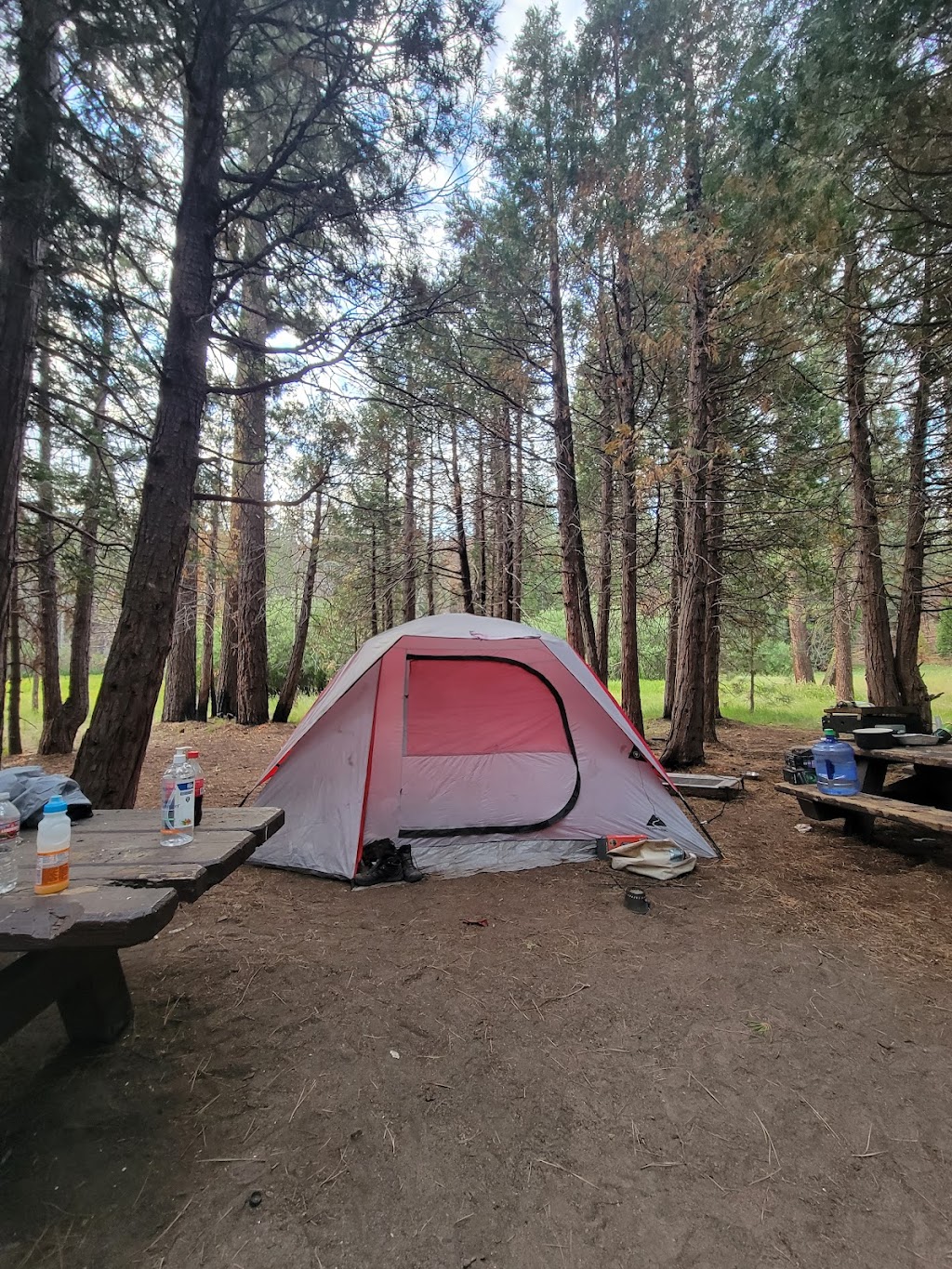 Long Meadow Group Campground | Camp Nelson, CA 93208, USA | Phone: (559) 539-5230