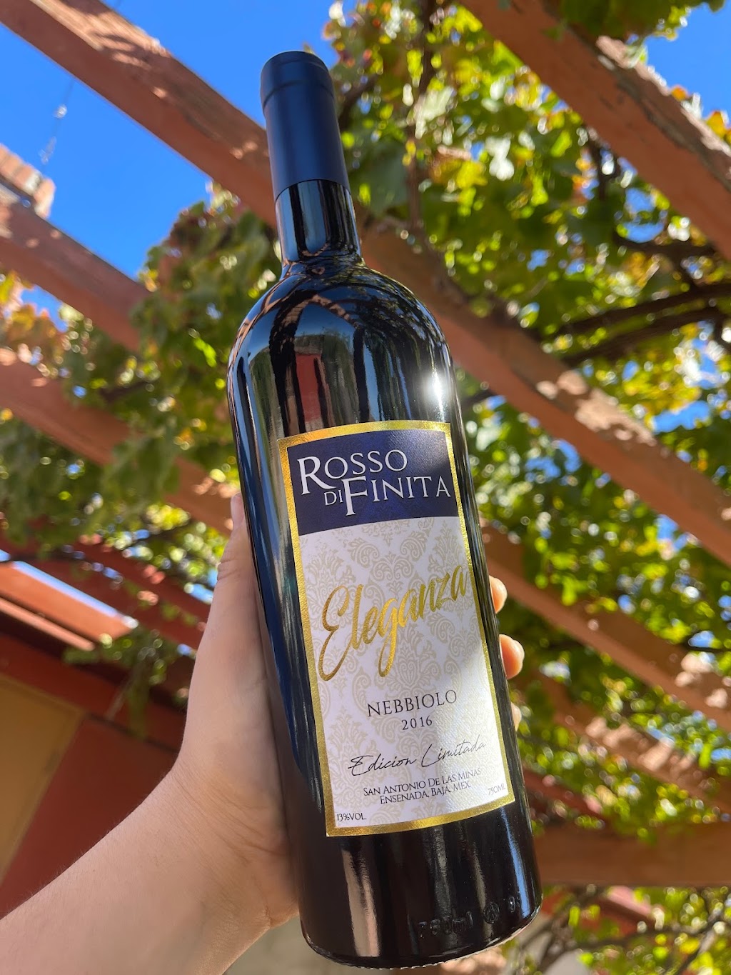 VINOS FINITA | 22766 Villa de Juárez, Baja California, Mexico | Phone: 646 117 1130