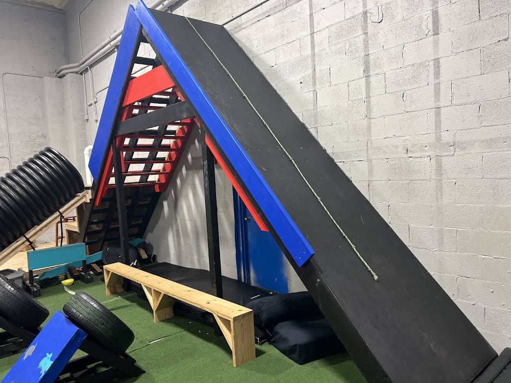 Xtreme Ninja Warrior | 1255 N Carpenter Rd, Brunswick, OH 44212, USA | Phone: (330) 441-2887