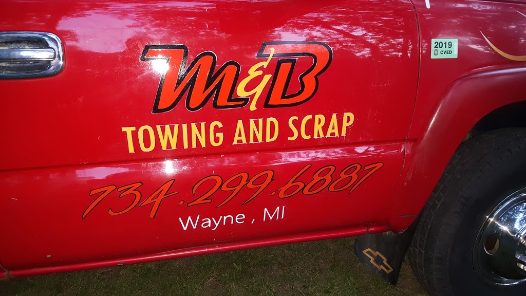 Detroit custom signs & pinstriping | Beech Daly Rd, Taylor, MI 48180, USA | Phone: (734) 447-4241