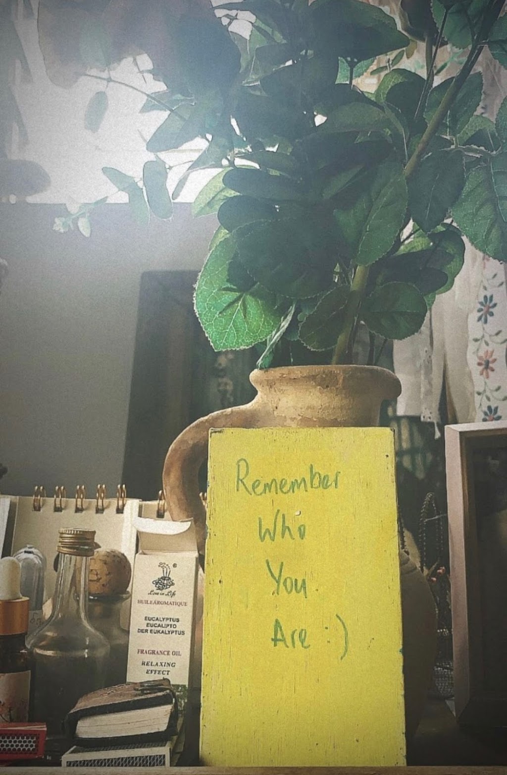 Gaia Frequency | 5440 Winters Way, Greensboro, NC 27410, USA | Phone: (336) 298-2318