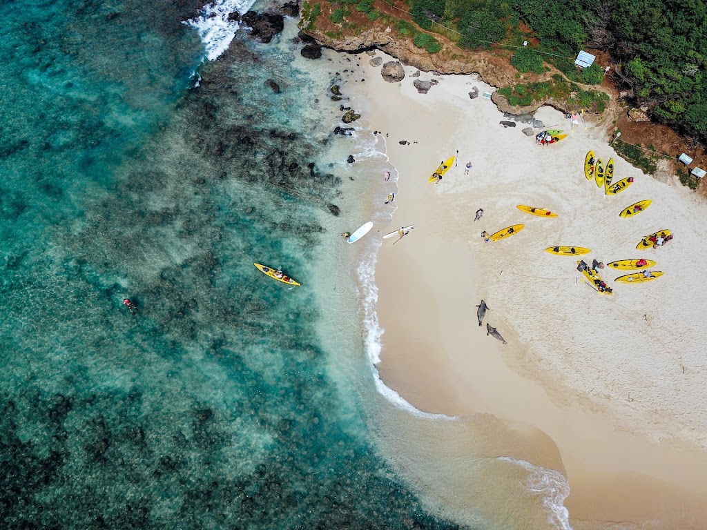 Kailua Beach Adventures | 130 Kailua Rd, Kailua, HI 96734, USA | Phone: (808) 262-2555