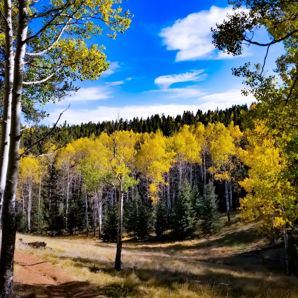 Muller State Park Visitors Center | Unnamed Road, Divide, CO 80814, USA | Phone: (719) 687-2366