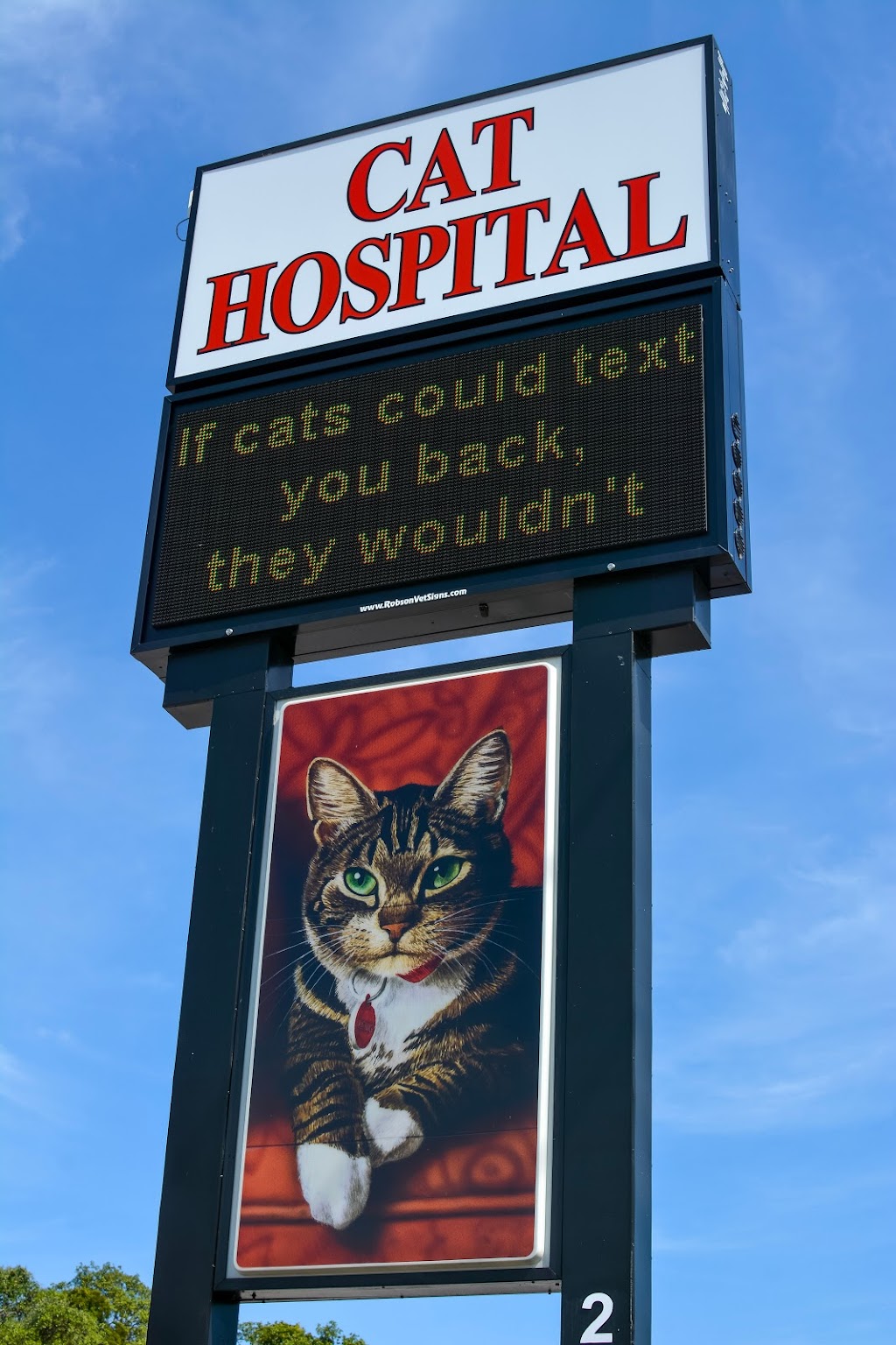 Cat Hospital At Palm Harbor | 2501 US-19 ALT, Palm Harbor, FL 34683 | Phone: (727) 785-2287
