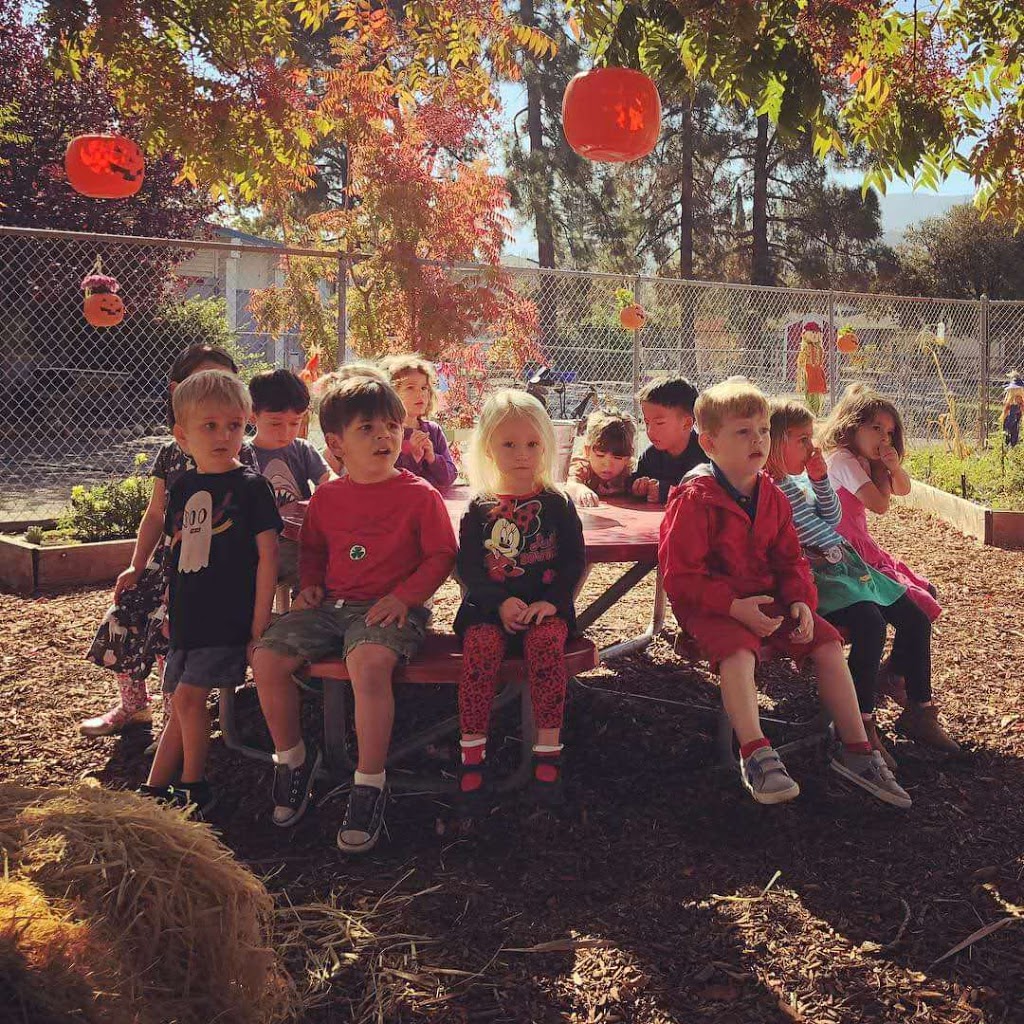 Little Oak Preschool | 1921 Clarinda Way, San Jose, CA 95124, USA | Phone: (408) 369-1252