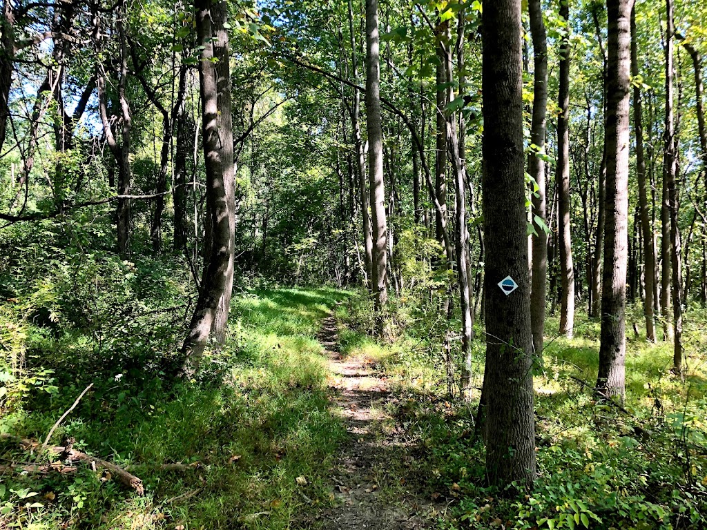 Fox Hill Nature Preserve | 51 Fox Hill Rd, Califon, NJ 07830, USA | Phone: (908) 234-1852