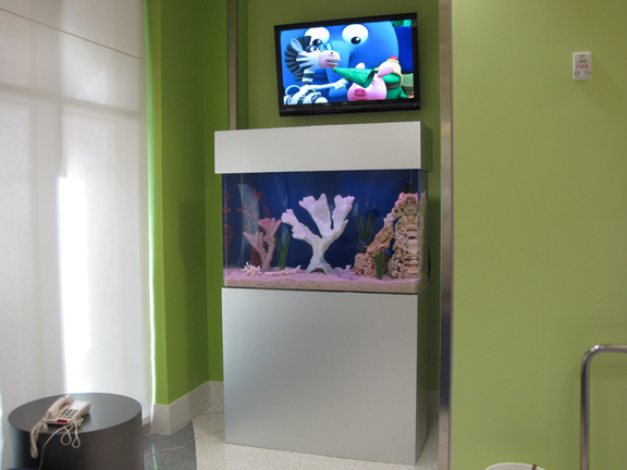 Aquarium Maintenance Service | 530 Moon Place Rd, Lawrenceville, GA 30044, USA | Phone: (770) 396-4889