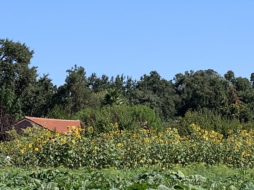 Mangini Fruit Stand | 2498 Pleasant Hill Rd, Pleasant Hill, CA 94523 | Phone: (925) 934-7262